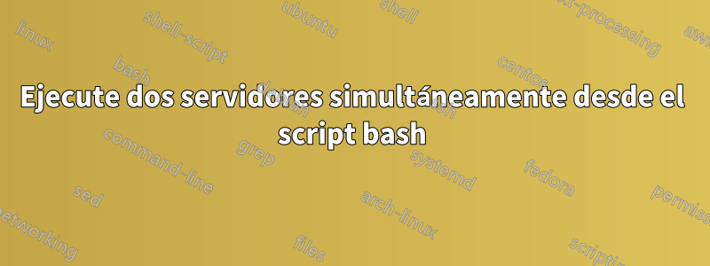 Ejecute dos servidores simultáneamente desde el script bash