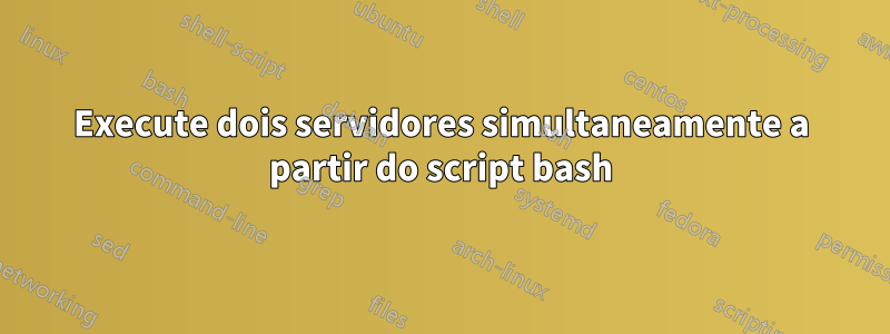 Execute dois servidores simultaneamente a partir do script bash