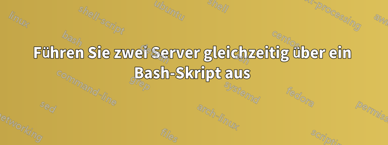 Führen Sie zwei Server gleichzeitig über ein Bash-Skript aus