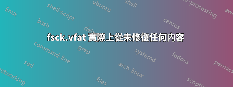 fsck.vfat 實際上從未修復任何內容
