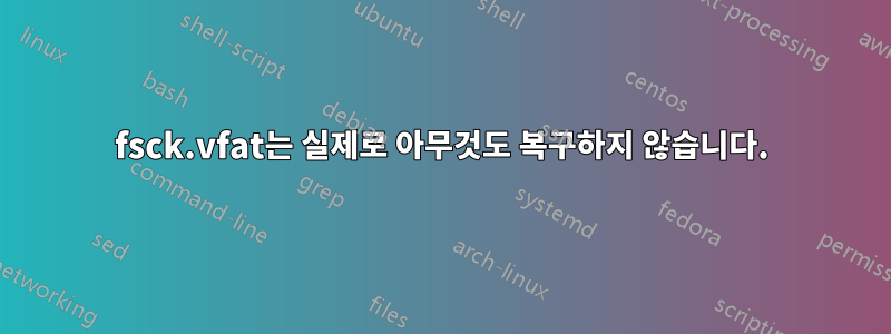 fsck.vfat는 실제로 아무것도 복구하지 않습니다.