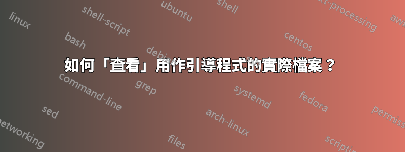 如何「查看」用作引導程式的實際檔案？