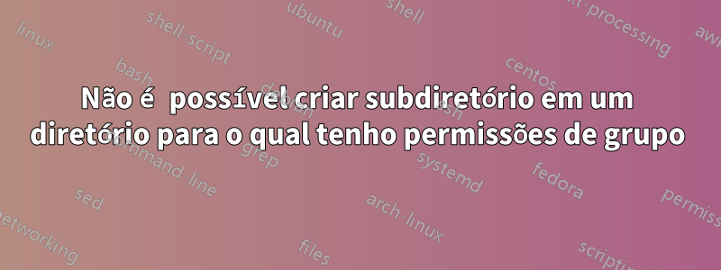 Não é possível criar subdiretório em um diretório para o qual tenho permissões de grupo