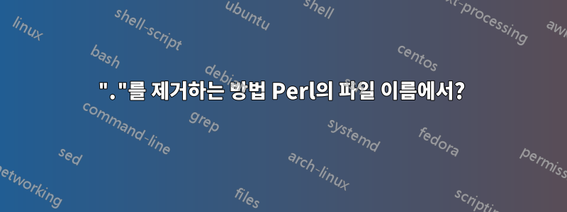 "."를 제거하는 방법 Perl의 파일 이름에서?