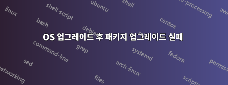 OS 업그레이드 후 패키지 업그레이드 실패