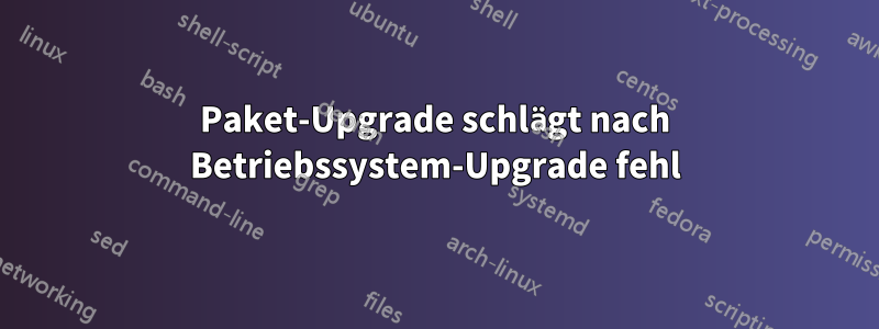 Paket-Upgrade schlägt nach Betriebssystem-Upgrade fehl