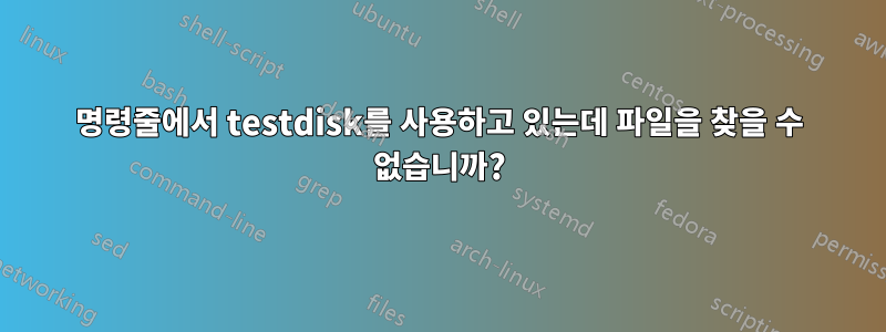 명령줄에서 testdisk를 사용하고 있는데 파일을 찾을 수 없습니까?