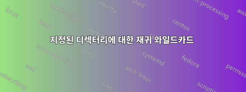 지정된 디렉터리에 대한 재귀 와일드카드