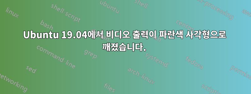 Ubuntu 19.04에서 비디오 출력이 파란색 사각형으로 깨졌습니다.