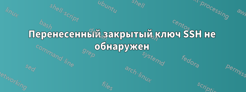 Перенесенный закрытый ключ SSH не обнаружен