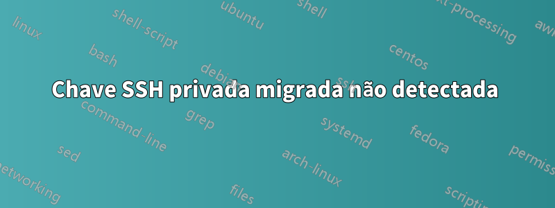 Chave SSH privada migrada não detectada