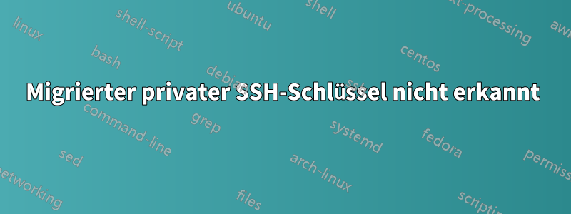 Migrierter privater SSH-Schlüssel nicht erkannt