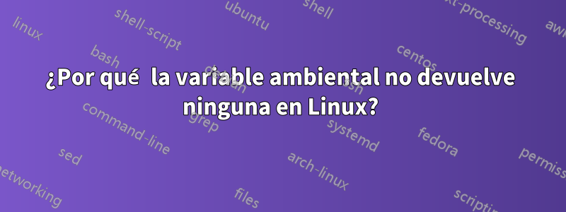 ¿Por qué la variable ambiental no devuelve ninguna en Linux?