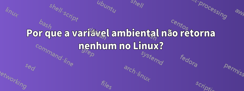 Por que a variável ambiental não retorna nenhum no Linux?