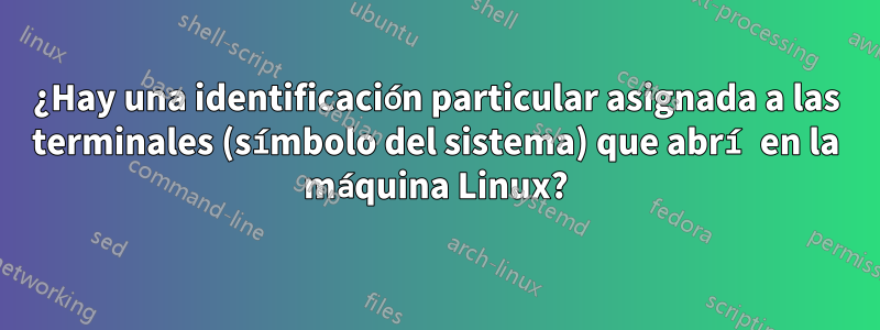 ¿Hay una identificación particular asignada a las terminales (símbolo del sistema) que abrí en la máquina Linux?