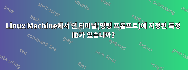 Linux Machine에서 연 터미널(명령 프롬프트)에 지정된 특정 ID가 있습니까?