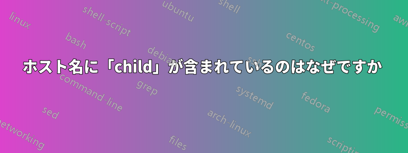 ホスト名に「child」が含まれているのはなぜですか