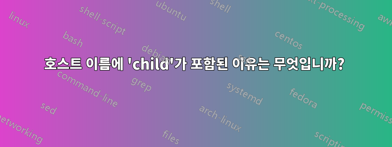 호스트 이름에 'child'가 포함된 이유는 무엇입니까?