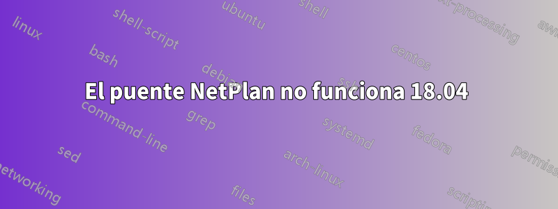 El puente NetPlan no funciona 18.04