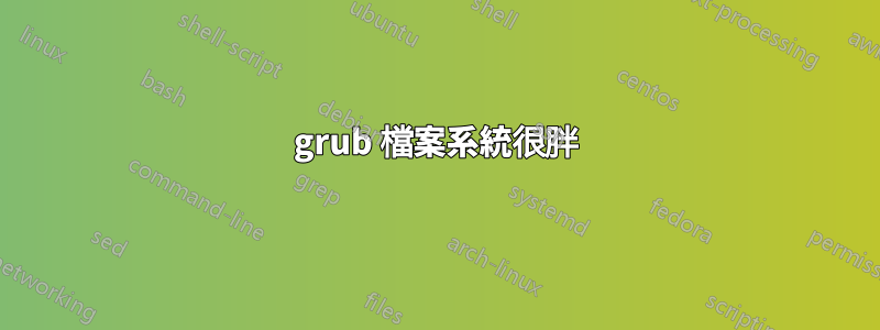 grub 檔案系統很胖