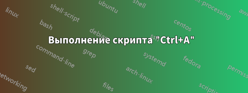 Выполнение скрипта "Ctrl+A"