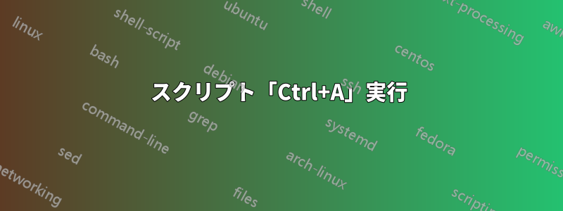 スクリプト「Ctrl+A」実行