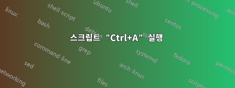 스크립트 "Ctrl+A" 실행