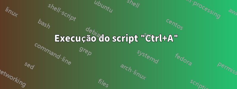 Execução do script "Ctrl+A"