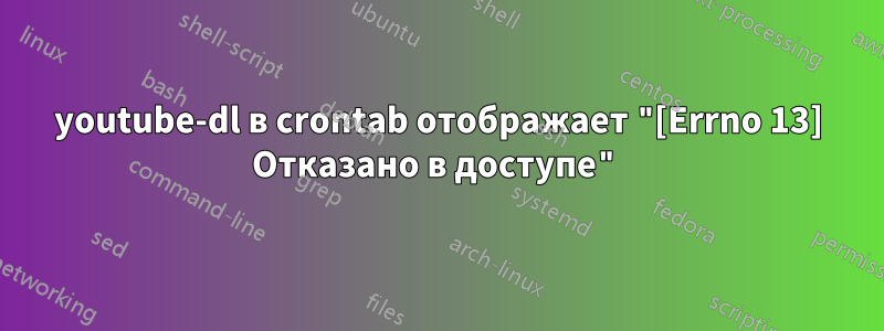 youtube-dl в crontab отображает "[Errno 13] Отказано в доступе"