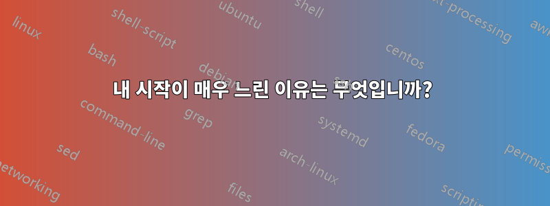 내 시작이 매우 느린 이유는 무엇입니까?