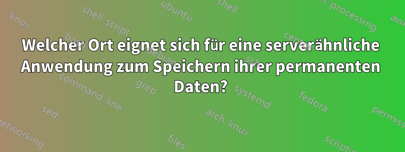 Welcher Ort eignet sich für eine serverähnliche Anwendung zum Speichern ihrer permanenten Daten?