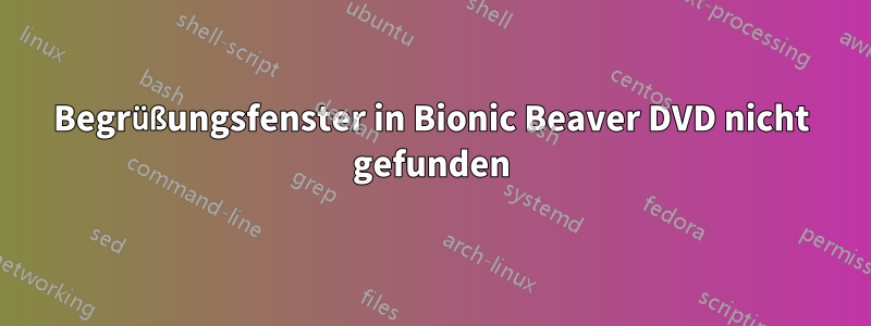 Begrüßungsfenster in Bionic Beaver DVD nicht gefunden