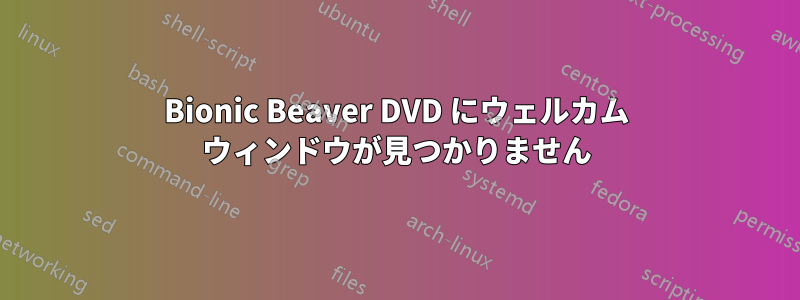 Bionic Beaver DVD にウェルカム ウィンドウが見つかりません