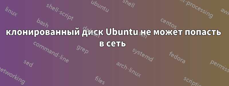 клонированный диск Ubuntu не может попасть в сеть 