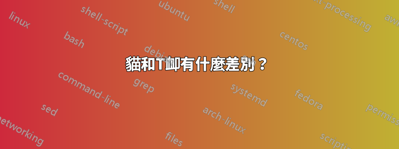 貓和T卹有什麼差別？