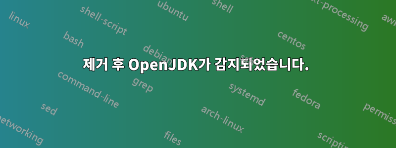 제거 후 OpenJDK가 감지되었습니다.