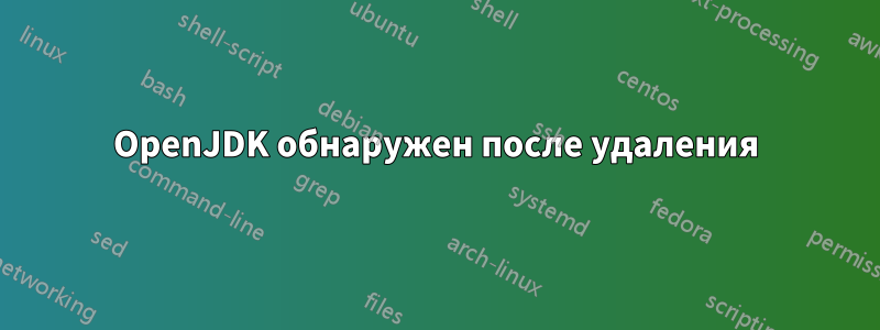 OpenJDK обнаружен после удаления