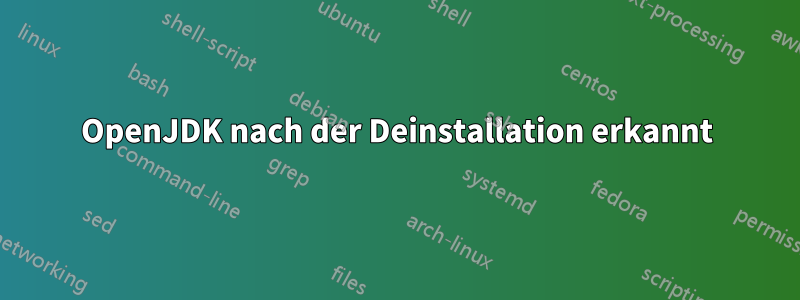 OpenJDK nach der Deinstallation erkannt