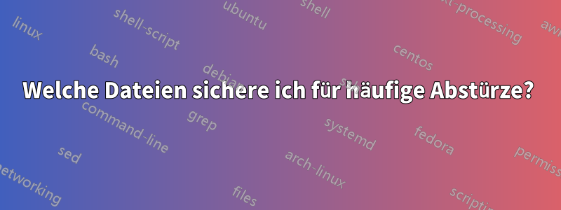 Welche Dateien sichere ich für häufige Abstürze?