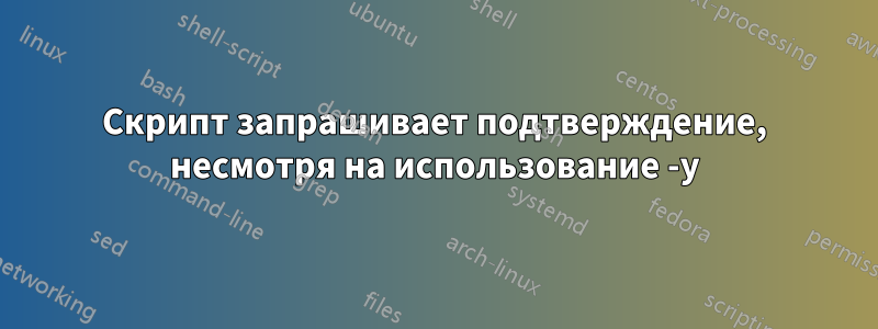 Скрипт запрашивает подтверждение, несмотря на использование -y