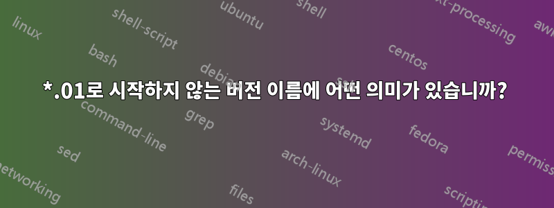 *.01로 시작하지 않는 버전 이름에 어떤 의미가 있습니까?