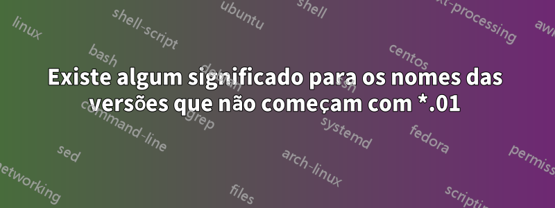 Existe algum significado para os nomes das versões que não começam com *.01