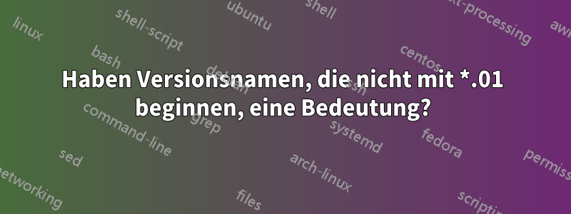 Haben Versionsnamen, die nicht mit *.01 beginnen, eine Bedeutung?