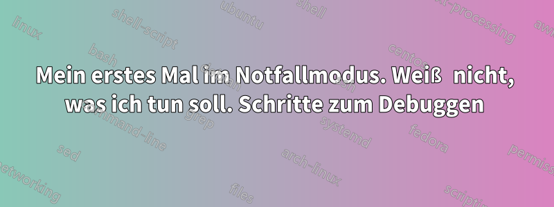 Mein erstes Mal im Notfallmodus. Weiß nicht, was ich tun soll. Schritte zum Debuggen