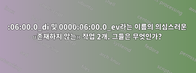 0000:06:00.0_di 및 0000:06:00.0_ev라는 이름의 의심스러운 «존재하지 않는» 작업 2개. 그들은 무엇인가?