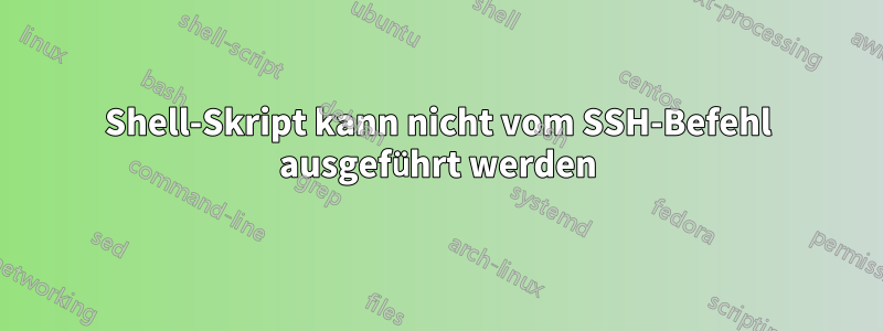 Shell-Skript kann nicht vom SSH-Befehl ausgeführt werden