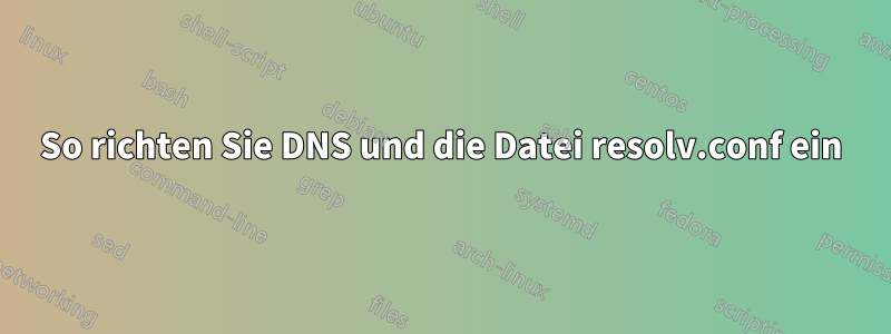 So richten Sie DNS und die Datei resolv.conf ein