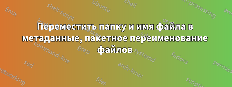 Переместить папку и имя файла в метаданные, пакетное переименование файлов