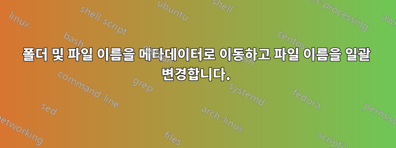 폴더 및 파일 이름을 메타데이터로 이동하고 파일 이름을 일괄 변경합니다.
