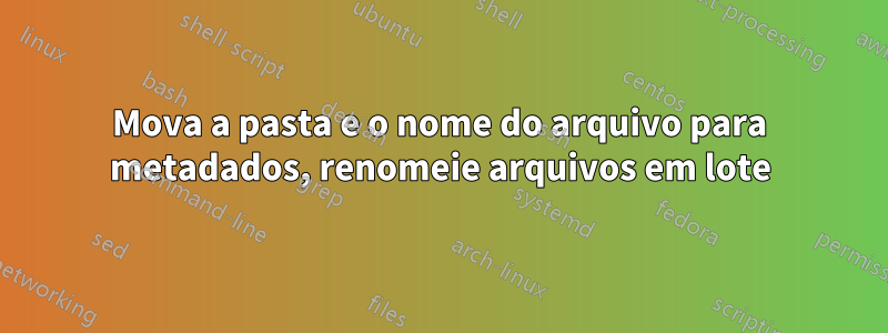 Mova a pasta e o nome do arquivo para metadados, renomeie arquivos em lote